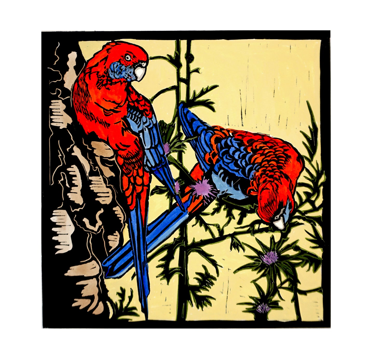 Crimson Rosellas linocut print
