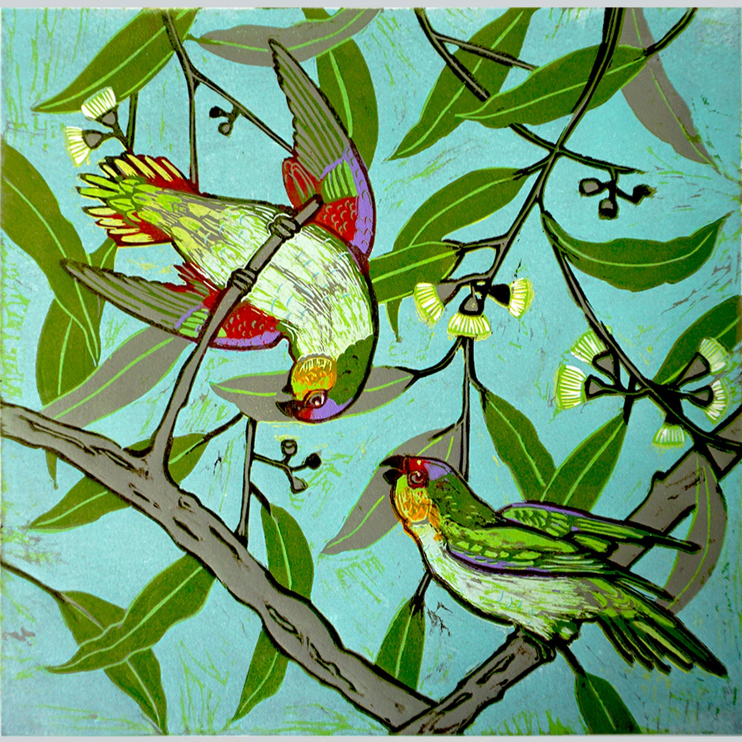 Purple Crowned Lorikeets