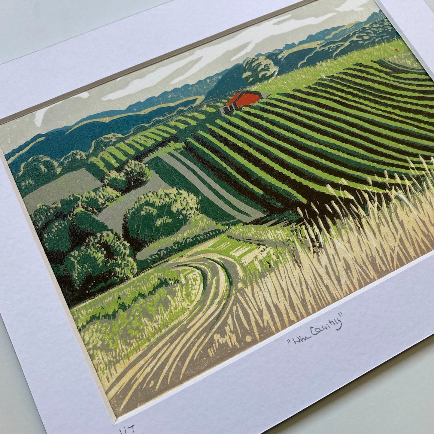 "Wine Country" Victorian vineyard landscape