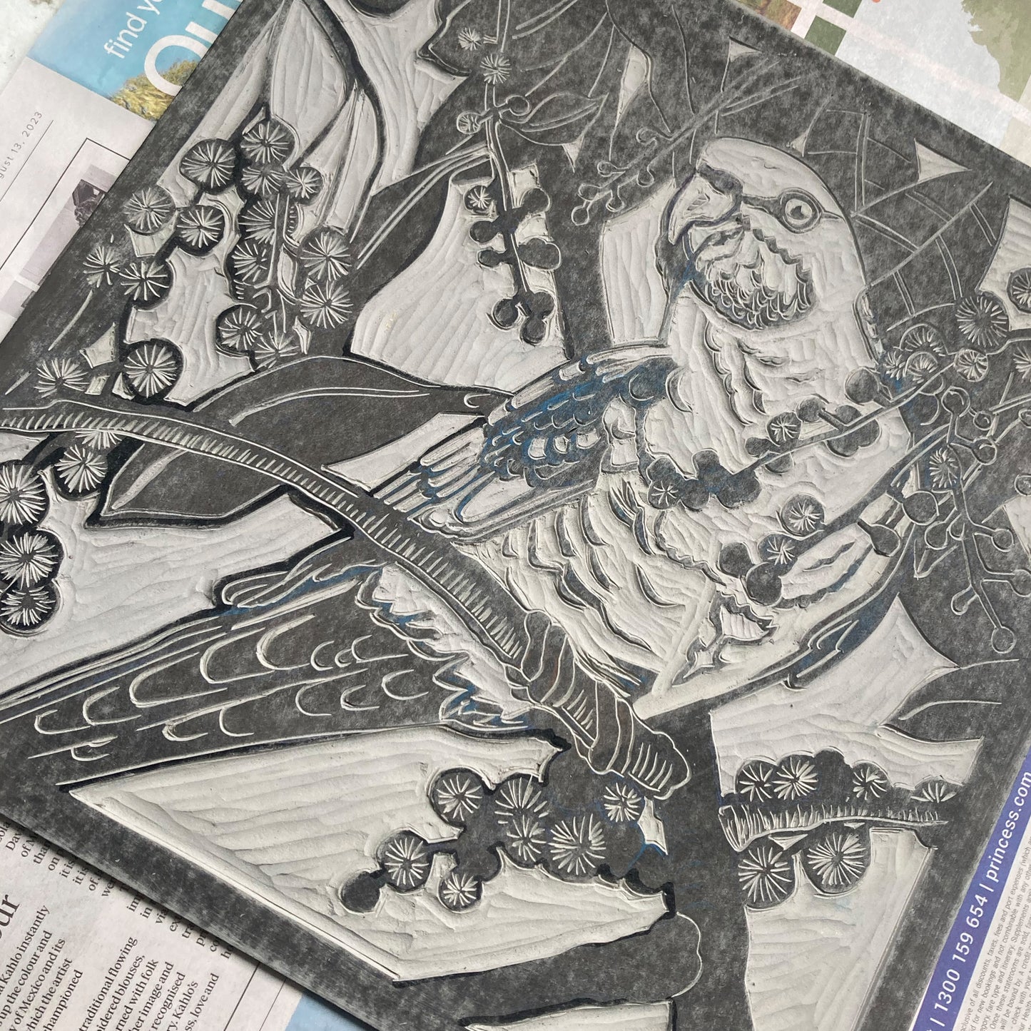 Eastern Rosella Lino Print