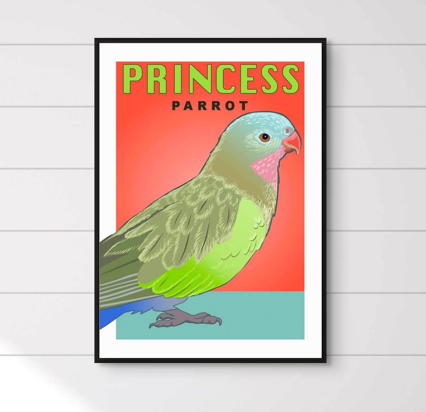 Princess Parrot Retro Australian Bird Poster