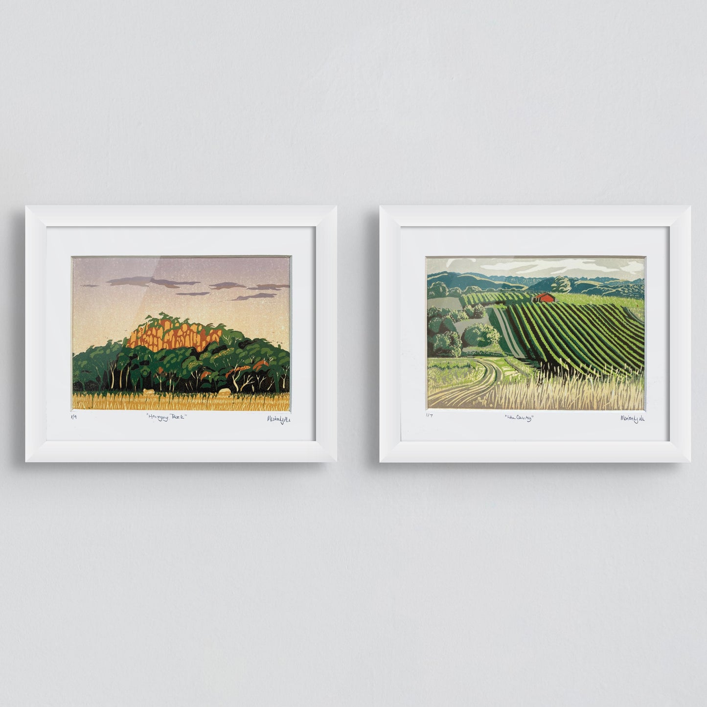 "Wine Country" Victorian vineyard landscape