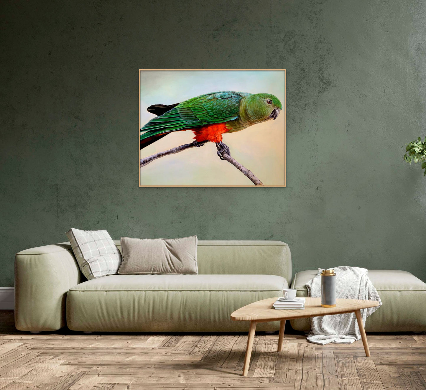 King Parrot