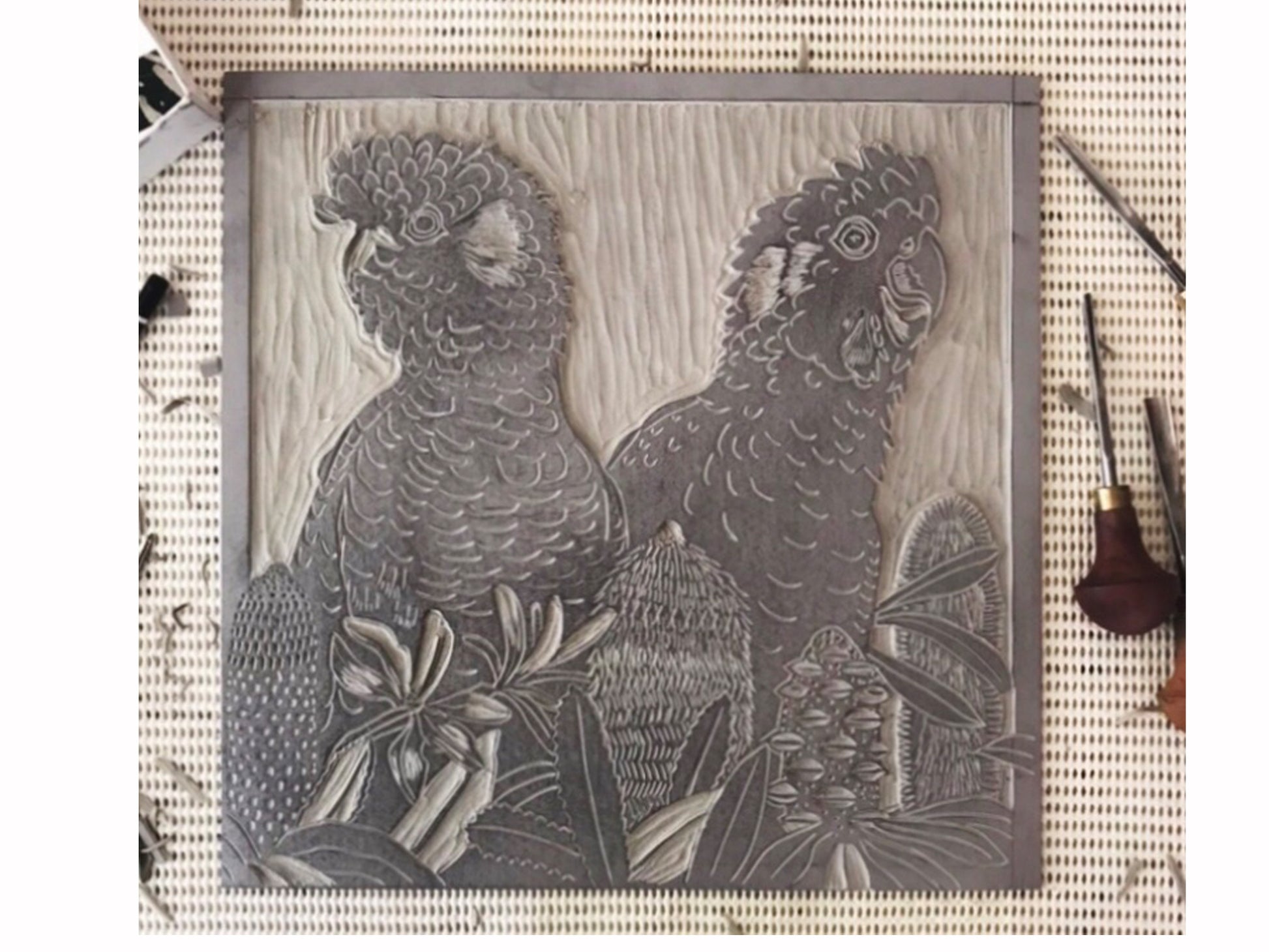 linocut plate black cockatoos