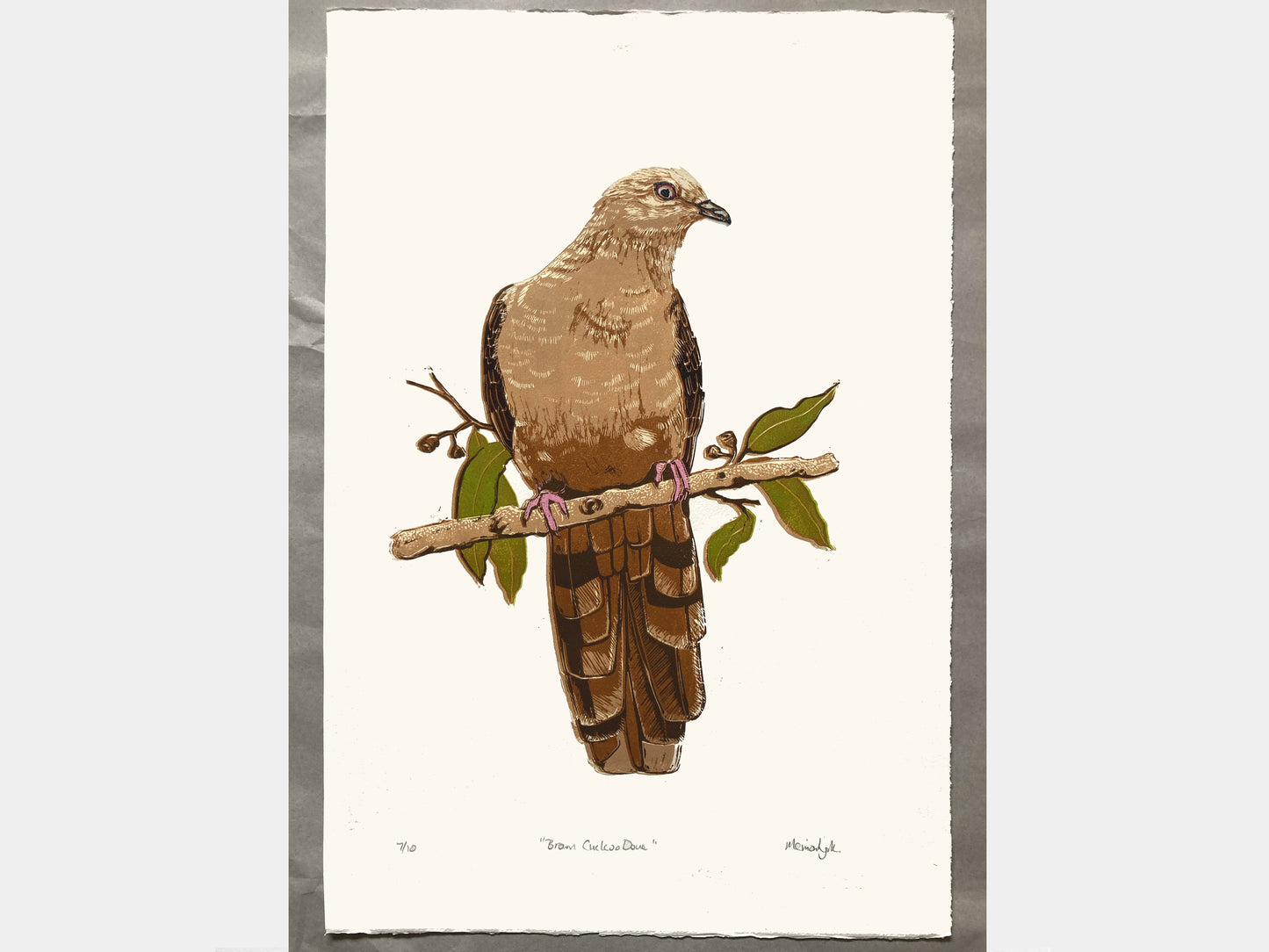 Brown Cuckoo Dove Linocut Print