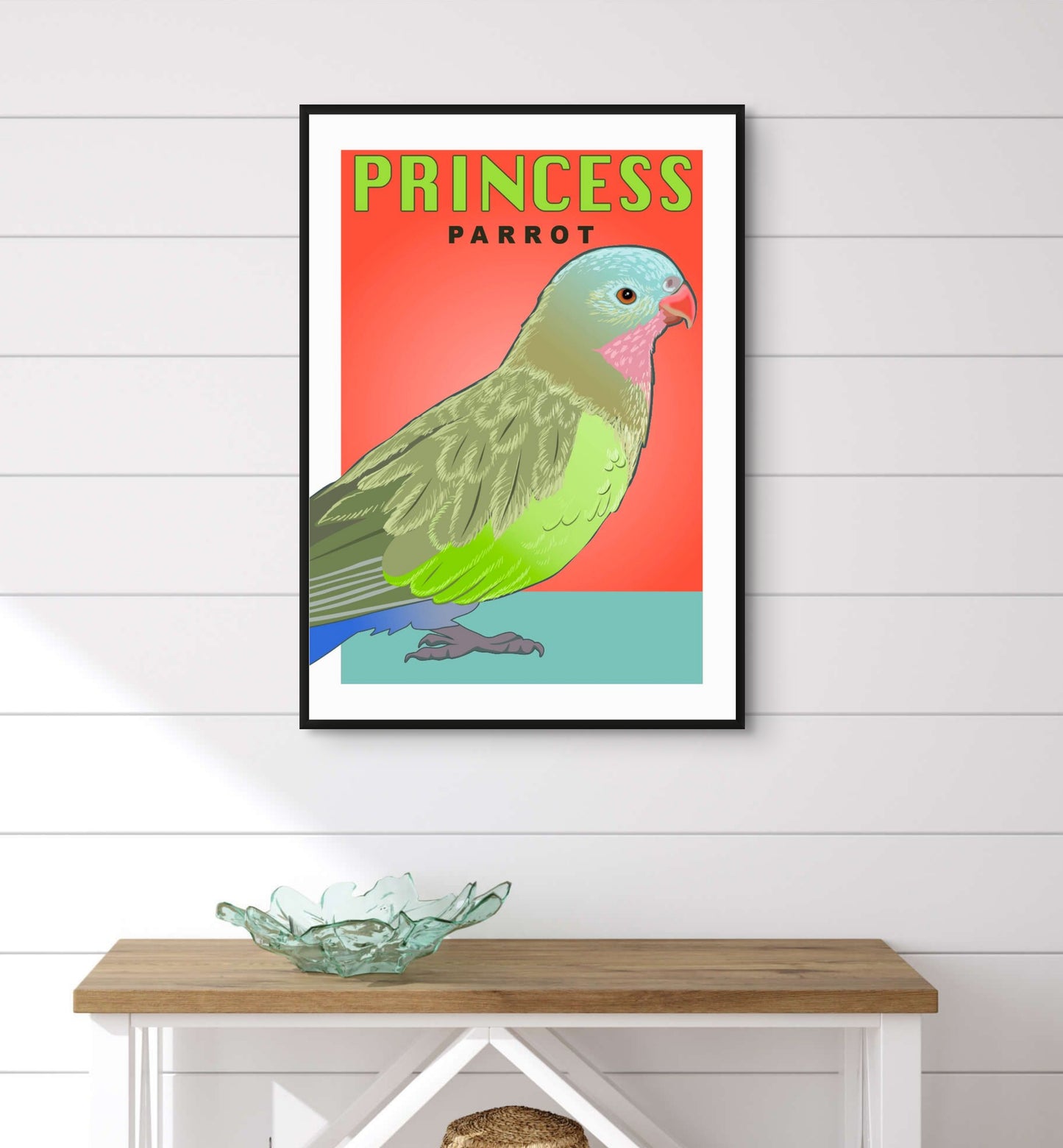 Princess Parrot Retro Australian Bird Poster