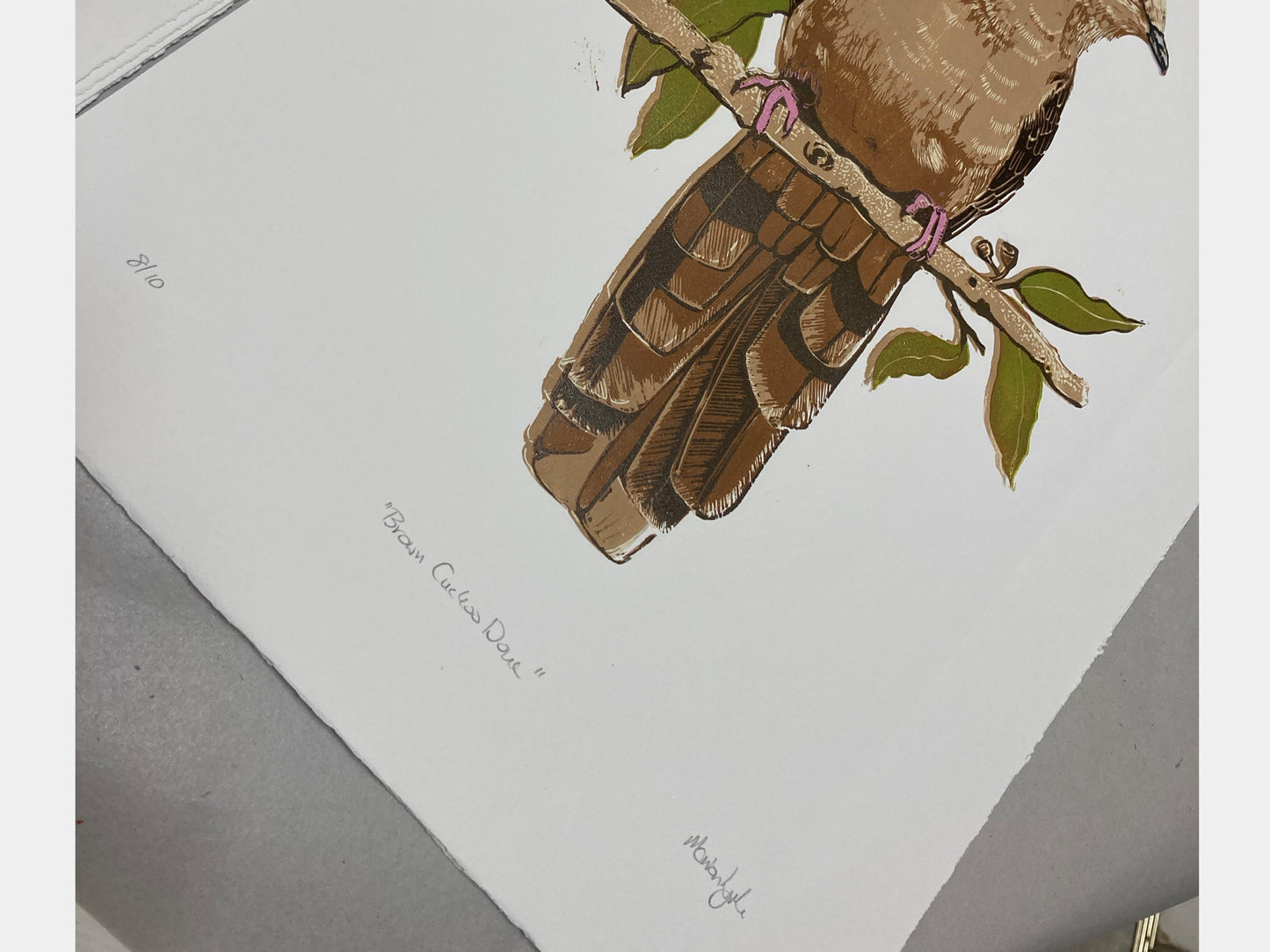 Brown Cuckoo Dove Linocut Print